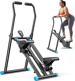 ¿Cuáles son las diferencias de precio entre máquinas de step y mini steppers?