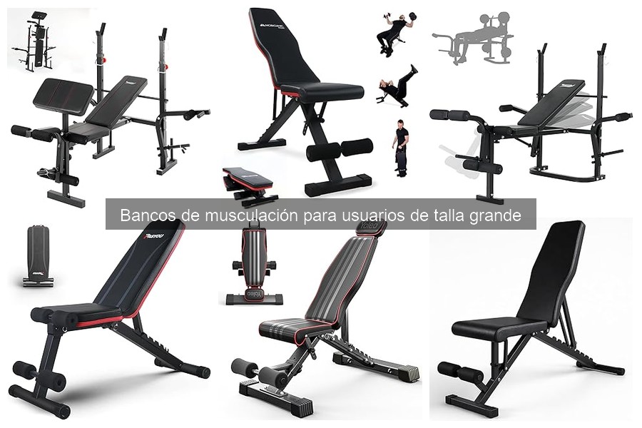 Alternativas a Bancos de Musculación para Usuarios Grandes