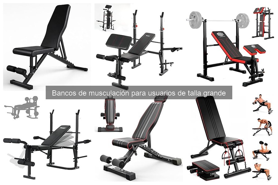 Bancos de musculación para usuarios de talla grande: características y beneficios