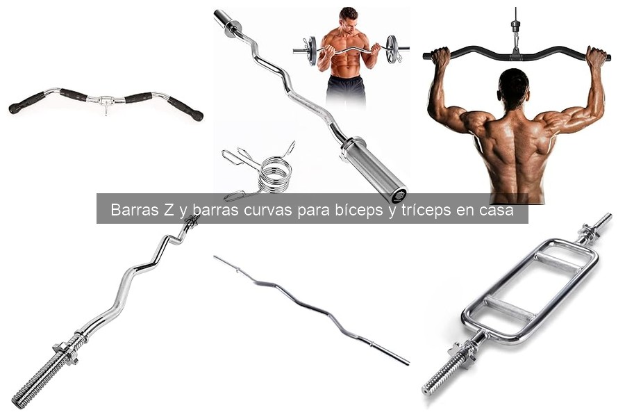 ** Barras Z y curvas: características y usos en el gimnasio en casa