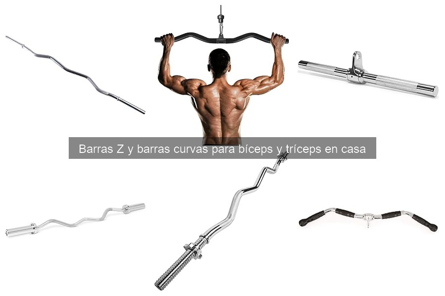 Cómo usar barras Z y curvas para bíceps y tríceps en casa