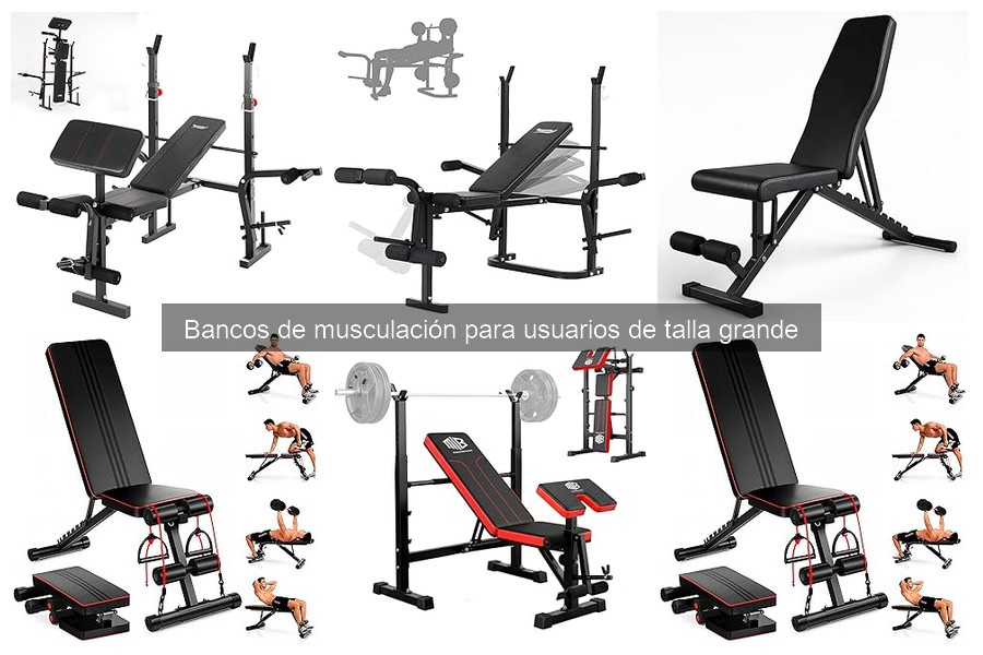 Comparativa de Bancos de Musculación para Usuarios de Talla Grande