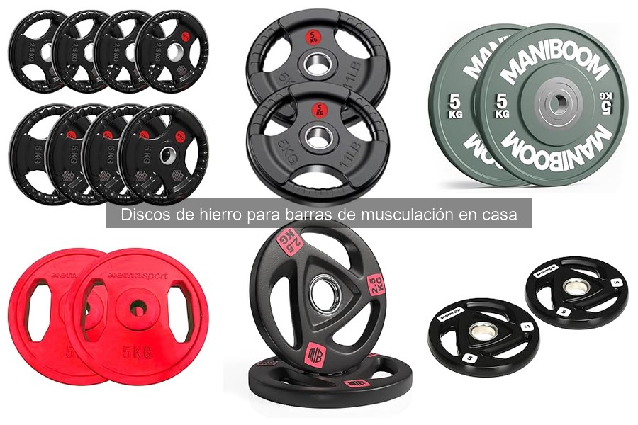 Dónde comprar discos de hierro online y precios actualizados