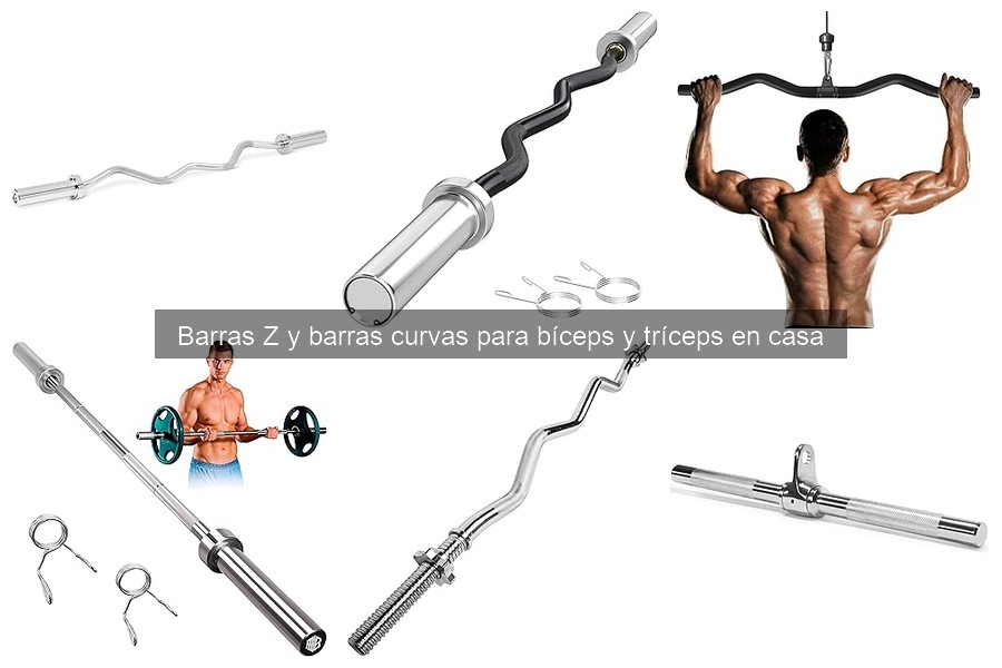 Ejercicios Efectivos con Barras Z y Curvas para Bíceps y Tríceps