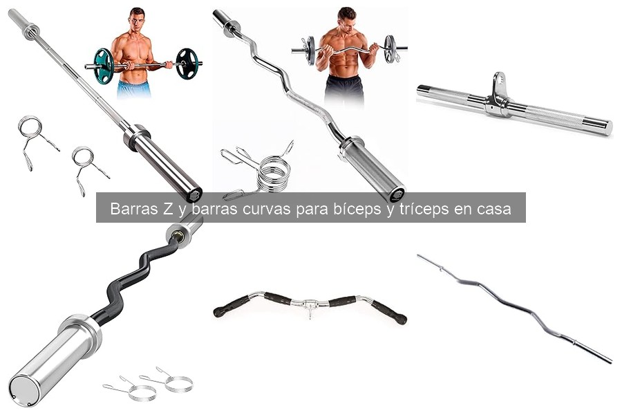 Guía de compra de barras Z y curvas para bíceps y tríceps
