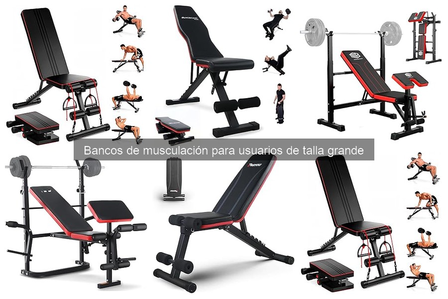 Mantenimiento de bancos de musculación para usuarios grandes