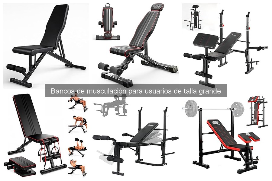 Mejores bancos de musculación para tallas grandes en 2023