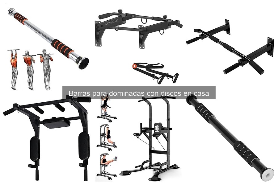 Mejores barras para dominadas con discos para principiantes