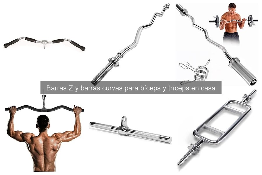 Mejores barras Z y curvas para gimnasio en casa 2023