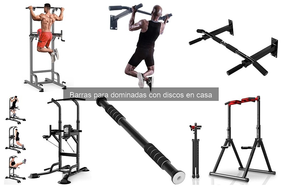 Mejores tiendas para comprar barras para dominadas con discos