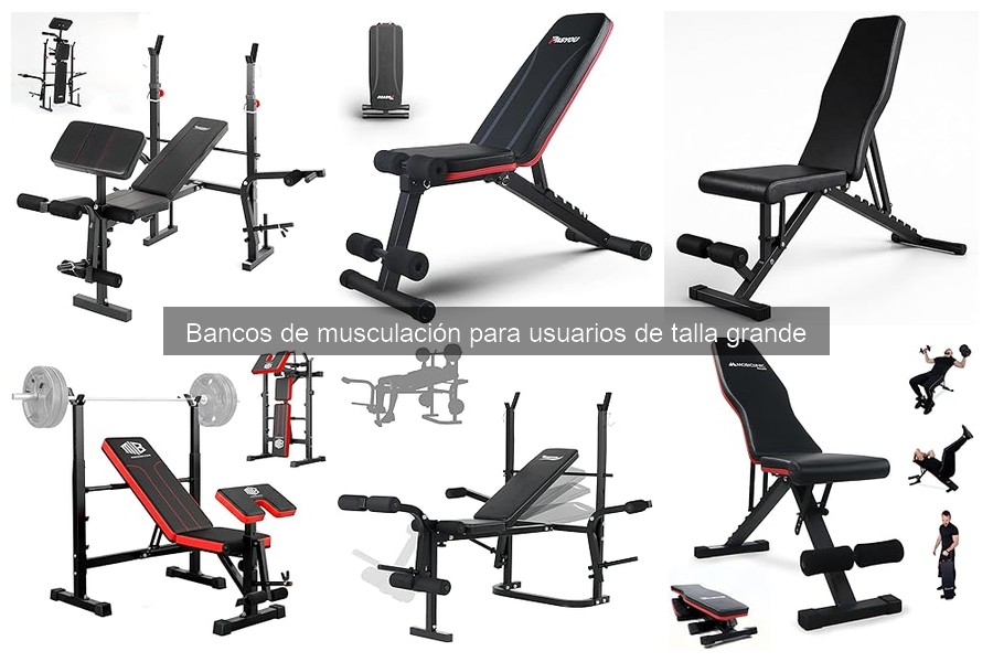 ** Precio de Bancos de Musculación para Usuarios de Talla Grande