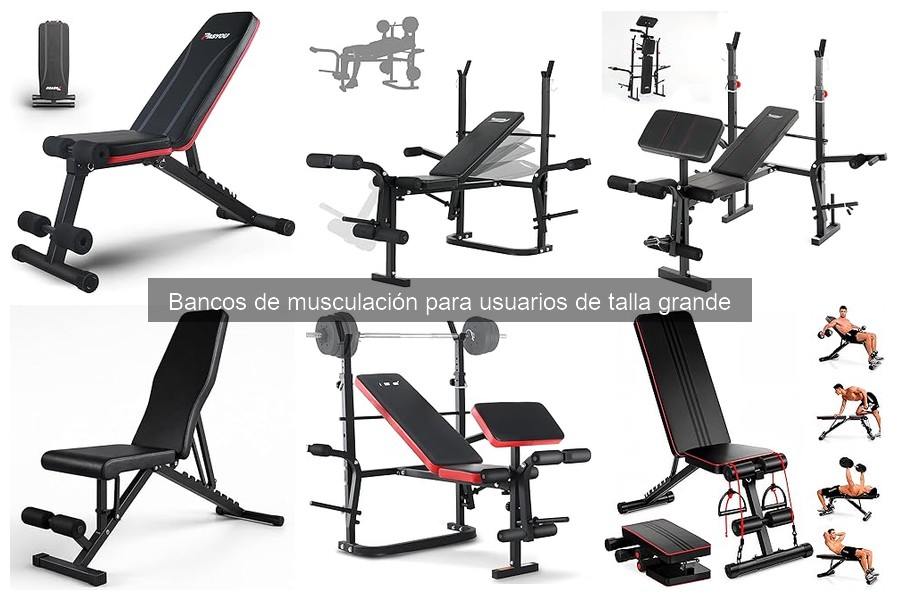 Reseñas de Bancos de Musculación para Usuarios de Talla Grande
