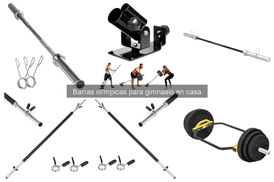 Tipos de barras olímpicas: Guía completa para tu gimnasio