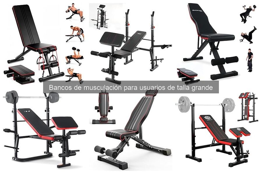 Ventajas de los Bancos de Musculación para Usuarios Grandes