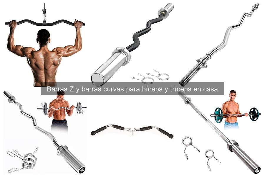 Ventajas y Desventajas de Barras Z y Curvas para Entrenar